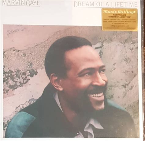 marvin gaye dream of a lifetime lyrics
